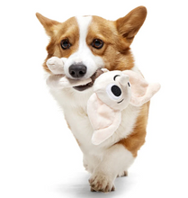 Load image into Gallery viewer, BARK X Harry Potter Dobby 2-in-1 Rip and Reveal
