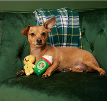 Load image into Gallery viewer, BARK Christmas Ginger Boy Brew 2 PACK

