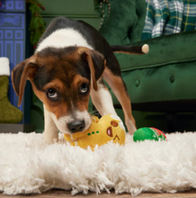 Load image into Gallery viewer, BARK Christmas Ginger Boy Brew 2 PACK
