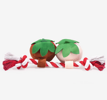 Load image into Gallery viewer, Hugsmart Pet - Woof Love | Sweet Chocoberries
