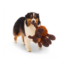 Load image into Gallery viewer, BARK X Harry Potter Aragog
