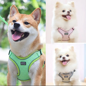 NEW Sports Harness Set