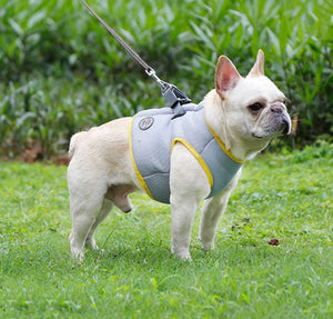 NEW DogLemi Cooling Dog Harness Vest