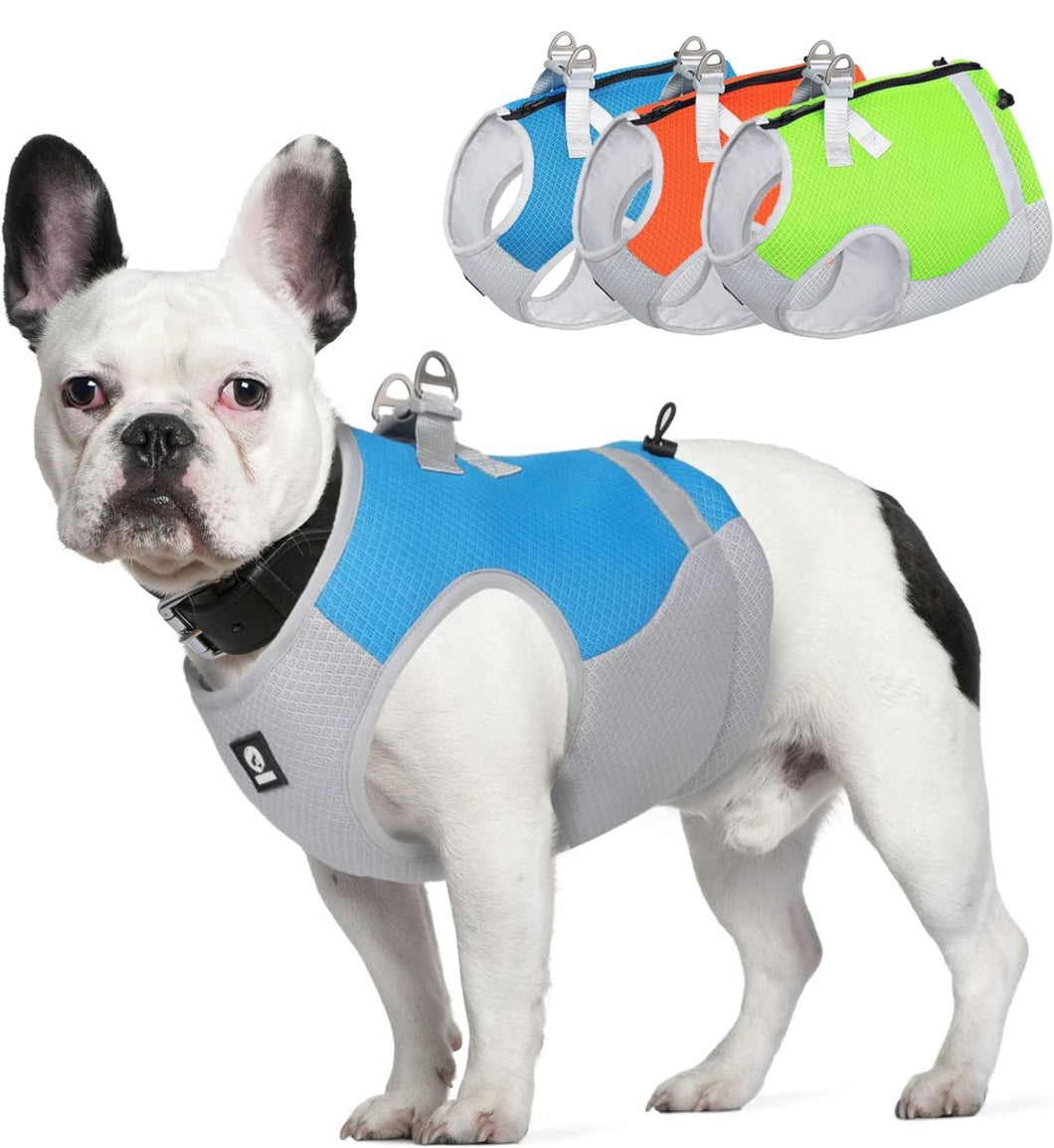 Summer Cooling Dog Harness