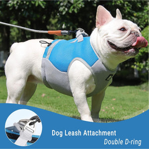 Summer Cooling Dog Harness