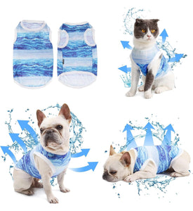 NEW DogLemi Cooling Vest