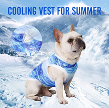 Load image into Gallery viewer, NEW DogLemi Cooling Vest
