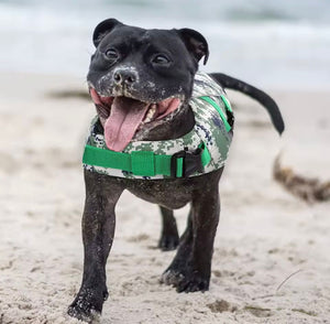 New Multi - Coloured Doggy Life Vest
