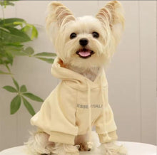 Load image into Gallery viewer, Essential Dog Hoodie
