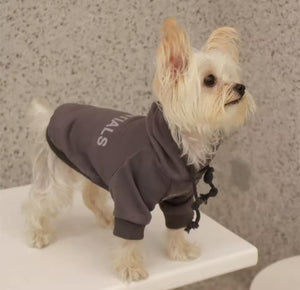 Essential Dog Hoodie
