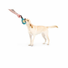 Load image into Gallery viewer, Bark x Crufts Winners Chompagne Dog Toy
