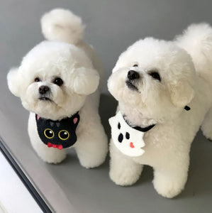 Halloween Bandanas For Dogs and Cats