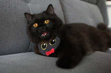 Load image into Gallery viewer, Halloween Bandanas For Dogs and Cats
