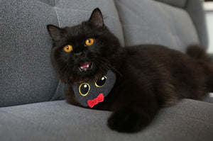 Halloween Bandanas For Dogs and Cats