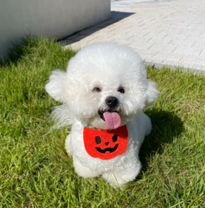 Halloween Bandanas For Dogs and Cats