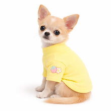 Load image into Gallery viewer, My everyday pet jumpers
