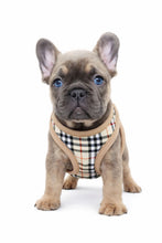 Load image into Gallery viewer, Classic Plaid Dog Harness with Lead
