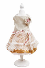 Load image into Gallery viewer, Rosendale dog dress
