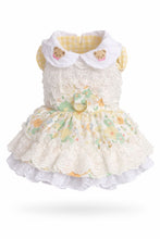 Load image into Gallery viewer, Teddy Bear Lace Dog Dress
