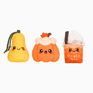 HugSmart Pet - Autumn Tailz | Pumpkin Play
