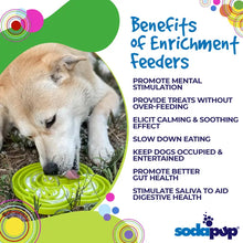 Load image into Gallery viewer, Water Frog Design eTray Enrichment Tray for Dogs
