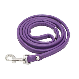 NEW Dog PU leads