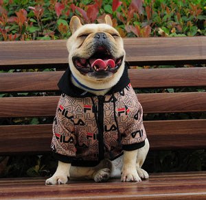 Stylish dog hoodie