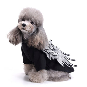 NEW Angel dog jumper