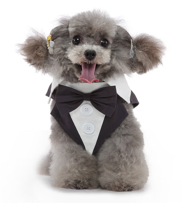 NEW Fashion Dog Tuxedo
