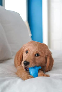 Nylabone Gentle Puppy Dog Teething Dental Dino Chew Toy,