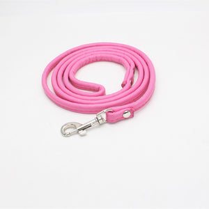 NEW Dog PU leads