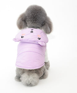 Teddy dog jacket