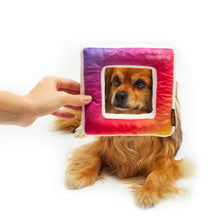 Load image into Gallery viewer, NEW Instadog Toy
