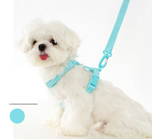 NEW Cute dog harness set