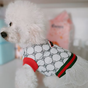 NEW Pupcci dog dress