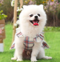 Load image into Gallery viewer, Miss Bow dog dress
