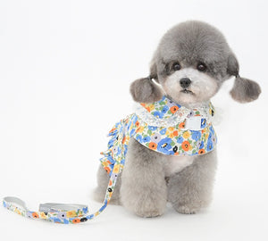 NEW Fleure dog harness set