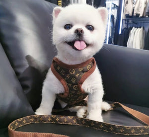 Designer inspired dog harness