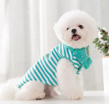 Load image into Gallery viewer, Dino dog jumper with scarf
