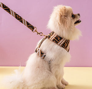 NEW Designer soft harness