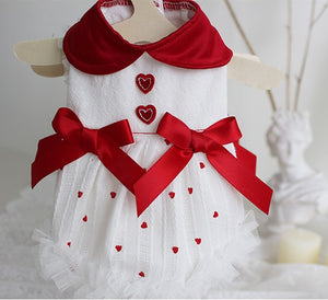 Heart dog dress
