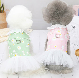 NEW Daisy D dog dress