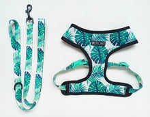 Load image into Gallery viewer, NEW Tropical dog harness set
