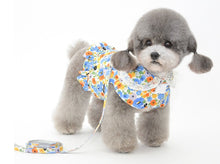Load image into Gallery viewer, NEW Fleure dog harness set
