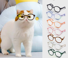 Load image into Gallery viewer, NEW Pet Glasses
