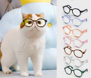 NEW Pet Glasses
