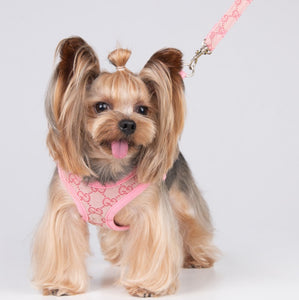 Designer inspired dog harness