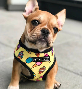 NEW Ice cream dog harness set