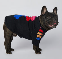 Load image into Gallery viewer, Woof Bone dog jumper
