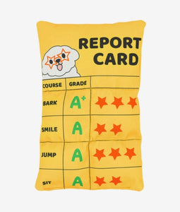 HugSmart Pooch Academy | Report Card